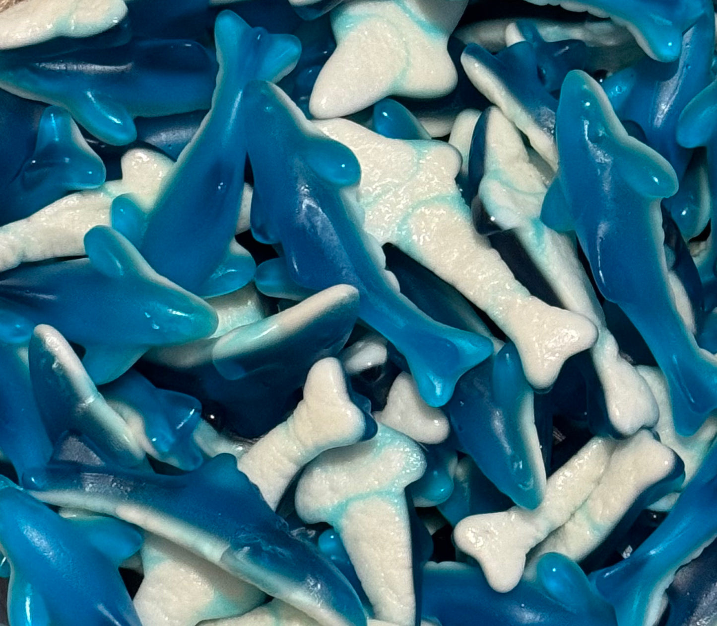 Trolli Requins