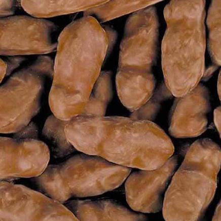 La souris au caramel X10