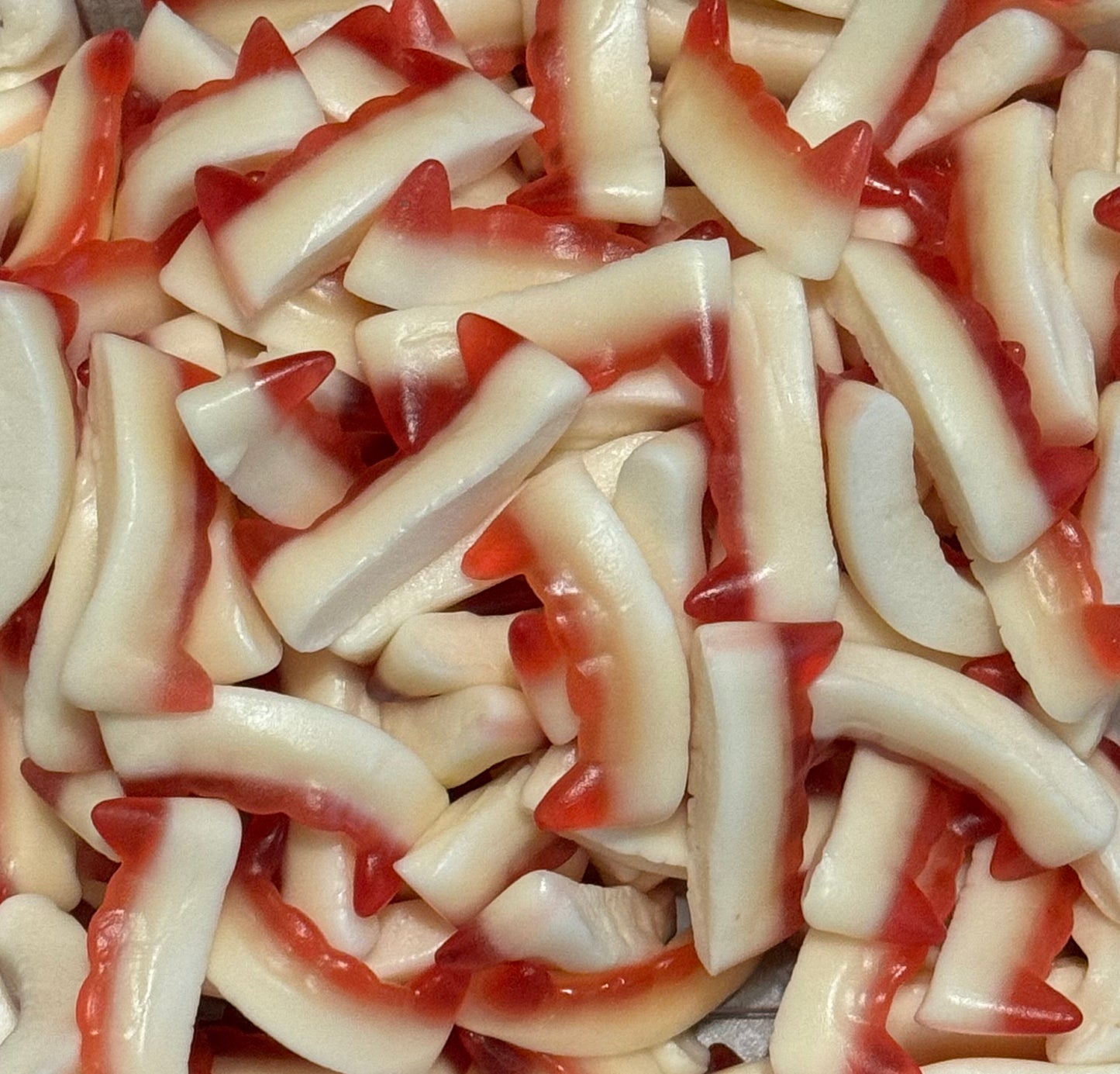 Capico Dents de vampire Halal